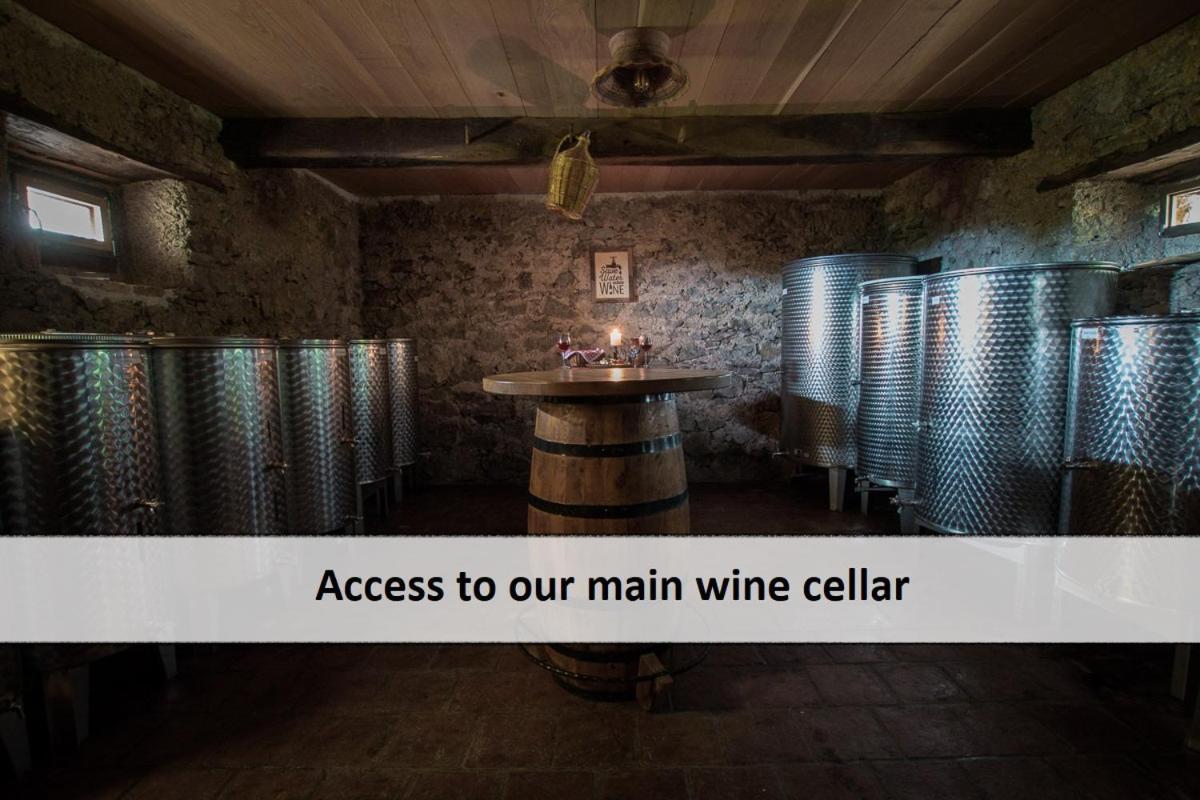 Vineyard Cottage Skatlar Оточець Екстер'єр фото