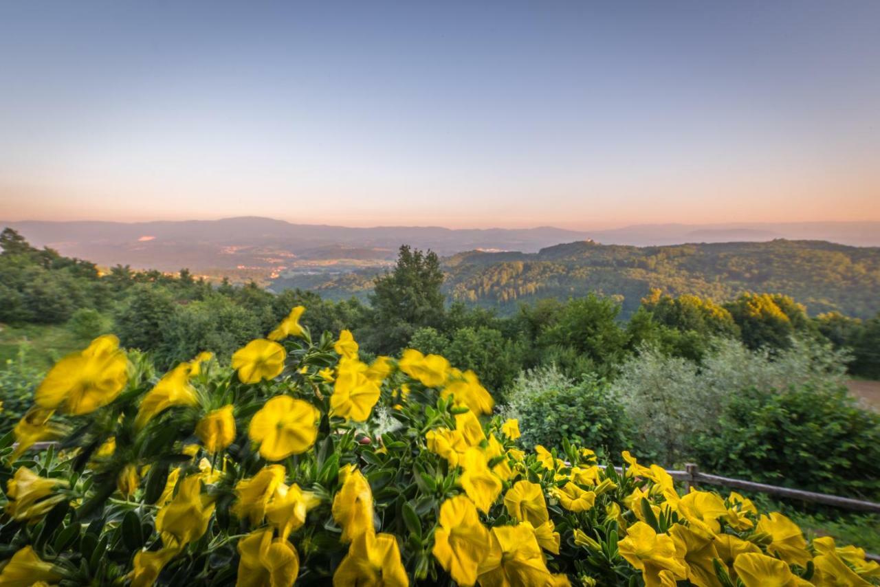 Vineyard Cottage Skatlar Оточець Екстер'єр фото